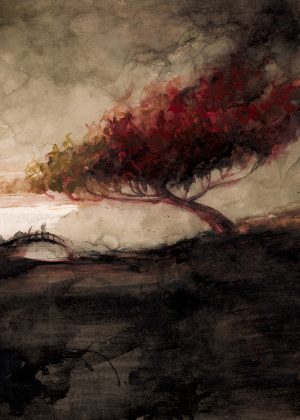 A Field