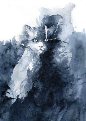 Blue Cat